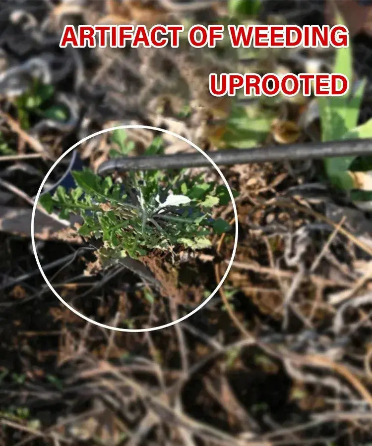Cosmo Thrift WeedMaster - Your Ultimate Weeding Tool