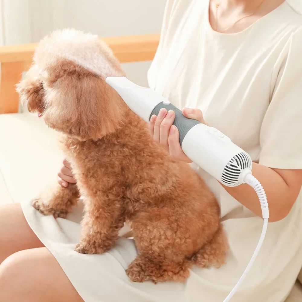 Cosmo Thrift Powerful Handheld Pet Dog Hair Grooming Blow Dryer