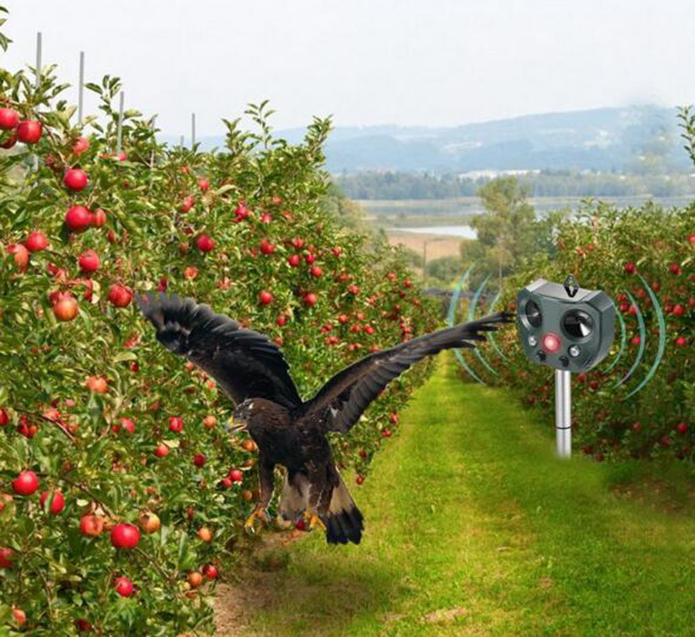 Cosmo Thrift Ultrasonic Bird & Pest Repeller Solar Powered - Long Range