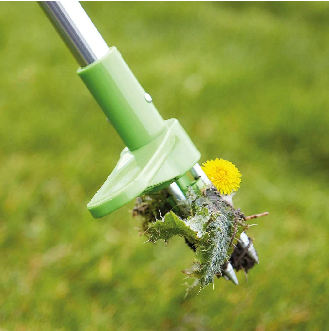 Cosmo Thrift Weed Puller Tool – Long Handle Root Remover for Lawn & Garden