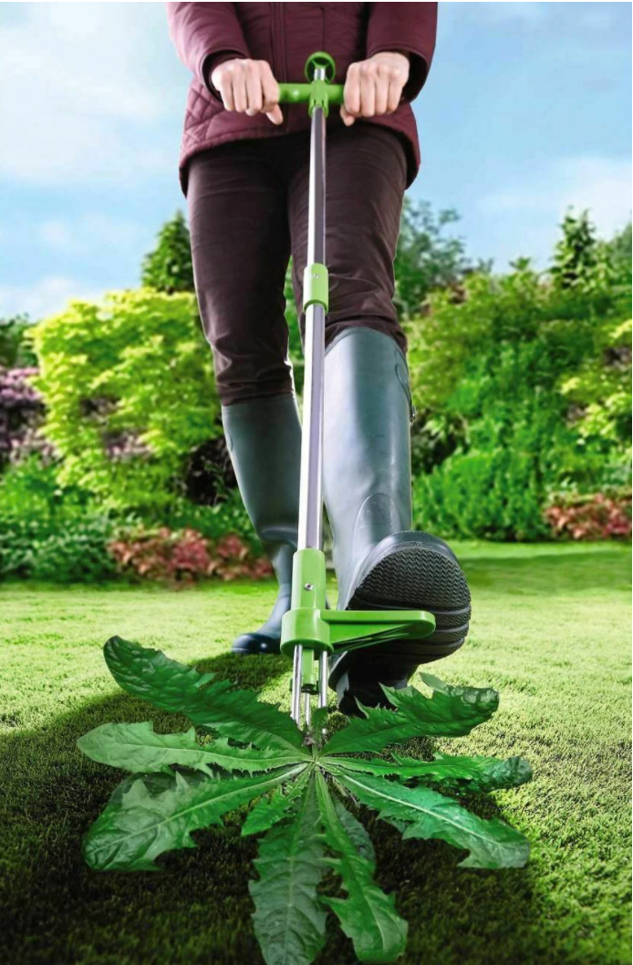 Cosmo Thrift Weed Puller Tool – Long Handle Root Remover for Lawn & Garden
