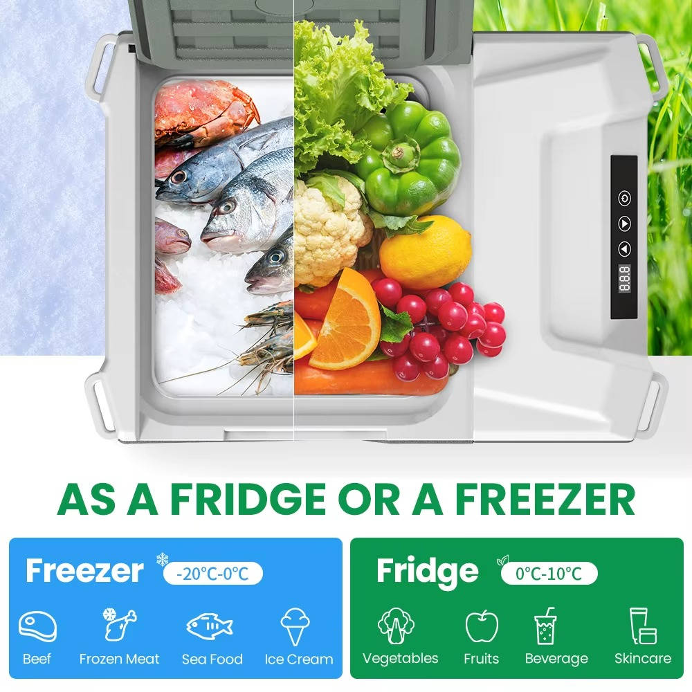 Cosmo Thrift Portable Refrigerator for Car
