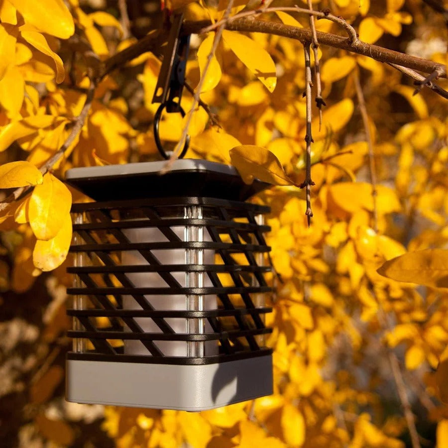 Cosmo Thrift Solar LED Garden Lantern
