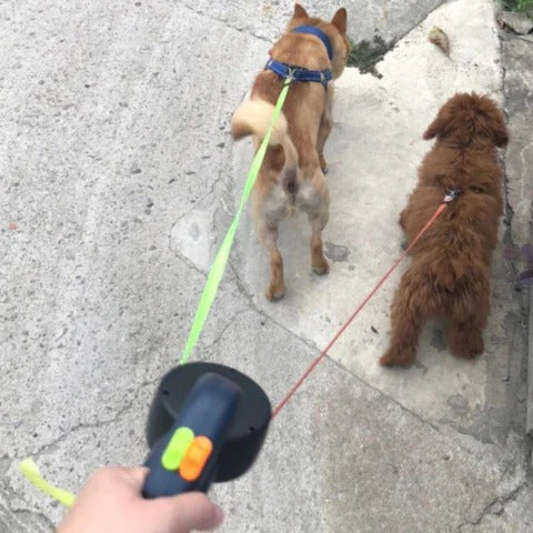 Cosmo Thrift Dual Dog Leash with LED Light – 360° Tangle-Free Swivel & Shock Absorbing Bungee
