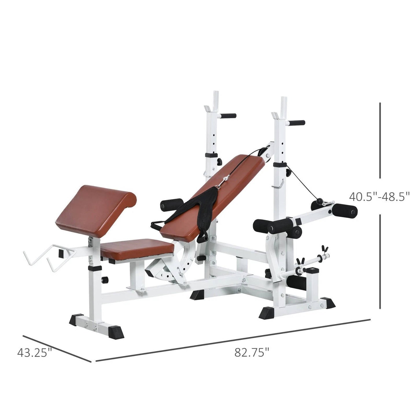 Cosmo Thrift Preacher Curl And Chest Bench For Home