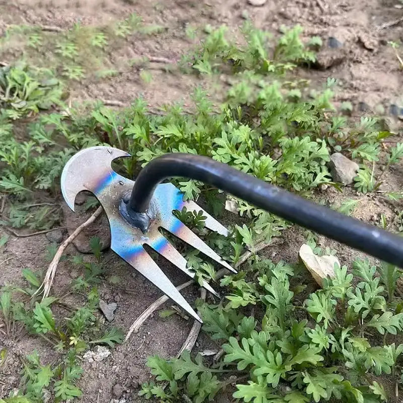 Cosmo Thrift WeedMaster - Your Ultimate Weeding Tool