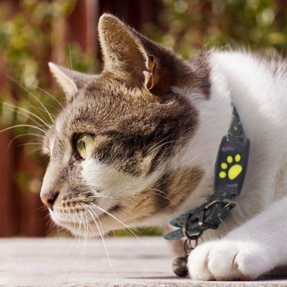 Cosmo Thrift Dog GPS Tracker Locator Device – Real-Time Pet Tracking with No Monthly Fees